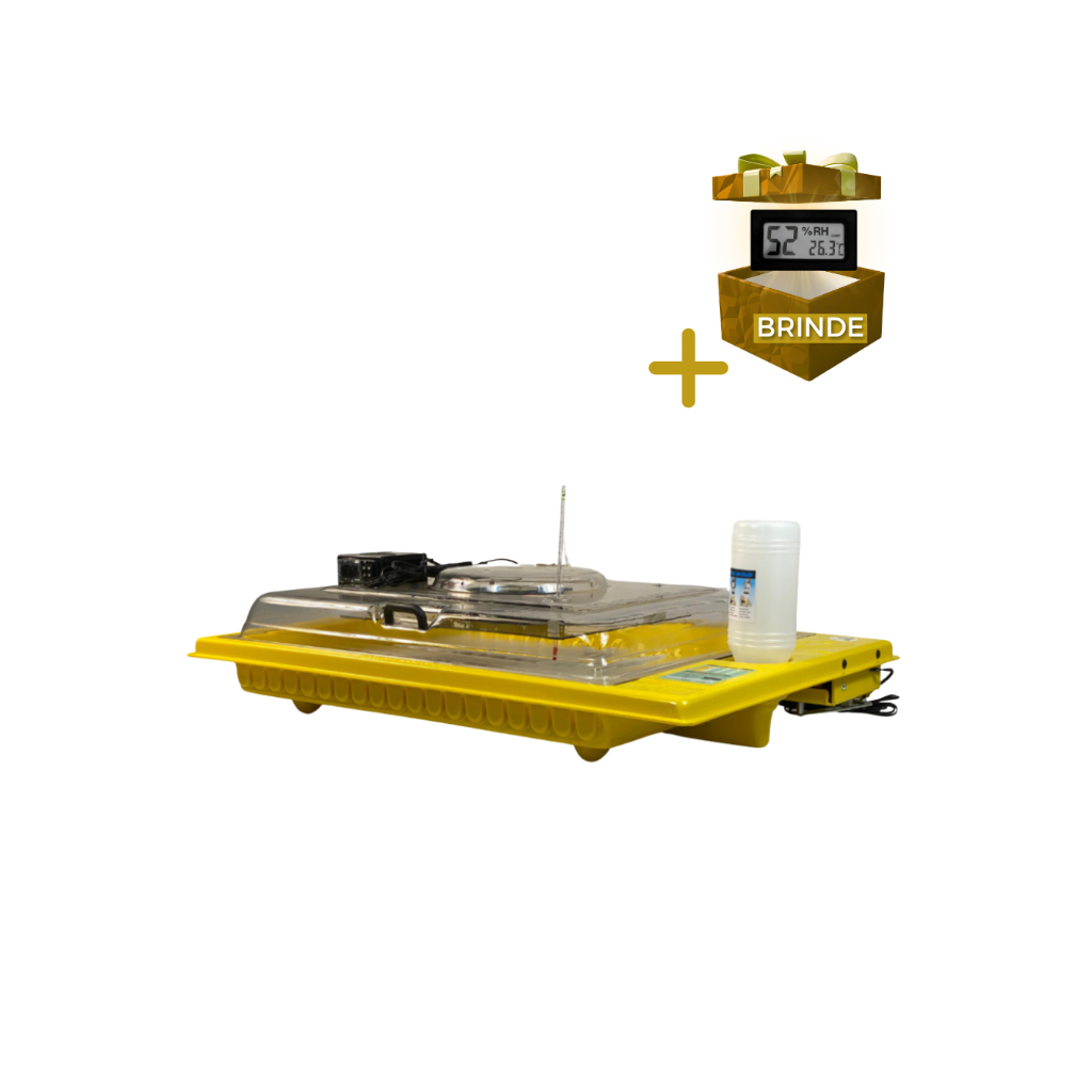 CHOCADEIRA PREMIUM ECOLOGICA HOBBY 130 OVOS 110V